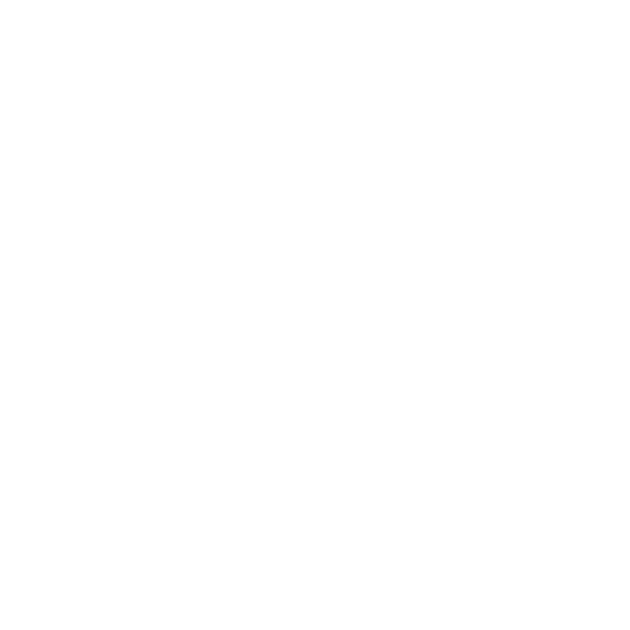Zodiac Belt
